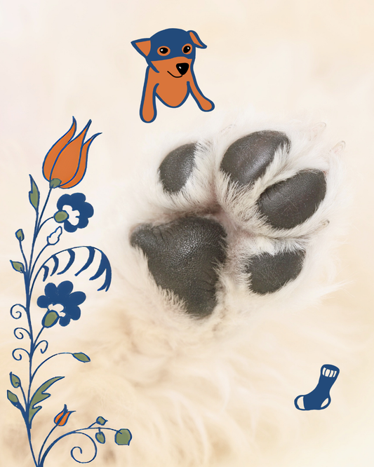 Protective Paw Balm